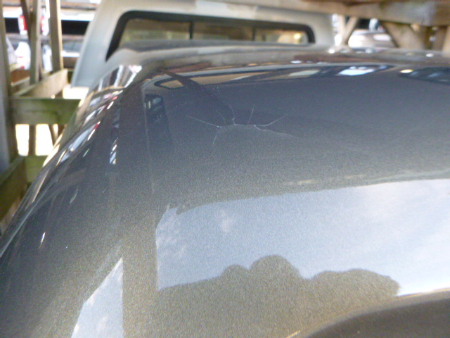 Dodge Ram 6’4 PFA Prairie Pearl Leer100XL Truck Cap - Image 5
