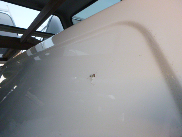 2015 – 2020 Ford F150 5’6 YZ White Leer Legend Truck Cap - Image 4